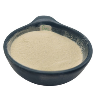 Extrait de Ginseng Américain de Haute Qualité, Ginsénosides Totaux 45%, Ingrédient de Complément Alimentaire à Prix Compétitif - Product Image 4