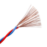 Câble torsadé RVS en PVC écologique de qualité supérieure 2*0.75mm²-2*4mm² avec âme rouge et noire CE ROHS pour le modèle TD RVS-01