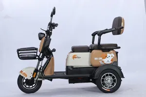 E-Dreirad STARS A3 500 W 60 V 20 ACH Pkw-Ladung Elektro-Scooter 3-Rad Elektro-Dreirad