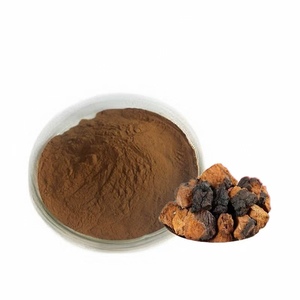 공장 공급 업체 천연 순수 차가 버섯 추출물 베툴라 필라오스 분말 30% 50% 60% 다당류 - Product Image 1