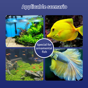Điều trị bệnh cá Kháng khuẩn Nhiễm nấm Loại bỏ vết trắng cho bể cá Nước ao làm sạch Chăm sóc sức khỏe nuôi trồng thủy sản - Product Image 5