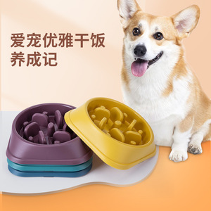 Gamelle anti-étouffement pour chiens et chats en PP, design surélevé, pour une alimentation lente - Product Image 5