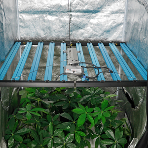 Les plantes LED d'intérieur à spectre complet commerciales poussent la barre lumineuse de lampe 500W 650W 720W 1000W plante de tente croissant remplaçant <span class=keywords><strong>Hps</strong></span> élèvent la lumière - Product Image 3