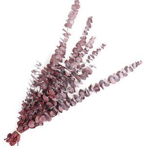 Guirlande de feuilles d'eucalyptus stabilisées et teintées, 5-7 pièces, avec pièces de monnaie en cuivre, plantes stabilisées naturelles pour Halloween, Pâques, Nouvel An Chinois - Product Image 2