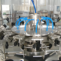 Machine de remplissage entièrement automatique pour jus et eau de coco
