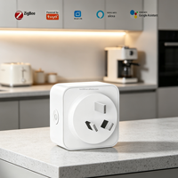 Prise intelligente Tuya Zigbee en gros pour AU/NZ avec moniteur d'énergie, minuterie, télécommande, double relais, double pôle, emballage personnalisé, usine OEM