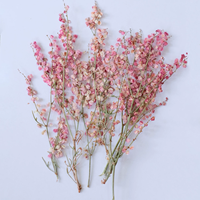 Bunga Rumput Muhly Merah Muda Dengan Cabang Untuk Scrapbooking Resin Epoksi Ramah Lingkungan Bunga Asli Terpres DIY