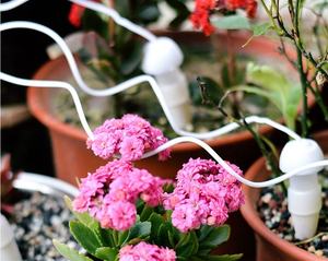 ชุดให้น้ำหยดอัตโนมัติ,ชุดชลประทานแบบหยดดอกไม้ในร่มสำหรับวันหยุด2ชิ้น - Product Image 6