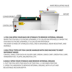 Machine de nettoyage et d'écaillage de poisson de haute qualité - Machine de transformation du poisson en acier inoxydable au prix d'usine - Product Image 3