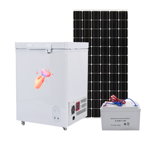 Offre Spéciale ac/dc 24v/220v réfrigérateur à énergie solaire coffre congélateur 60/80/100/200/<span class=keywords><strong>300</strong></span>/500/600/700/1000/1300/1600 litre - Product Image 4