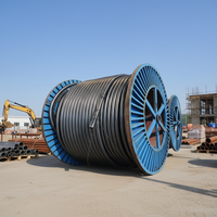 Cable de Alimentación YJV Multifilar Sólido de 25mm 50mm 95mm con Aislamiento de XLPE y PVC para Aplicaciones Industriales y Ferroviarias