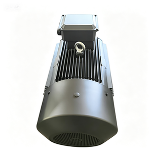 Moteur haute tension 6KV | Moteur asynchrone triphasé | 500Kw | Efficacité IE3 | Série Y2 - Product Image 3