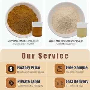 Pó de cogumelo erinábaco orgânico a granel atacado - Product Image 2