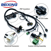 A00097 Faisceau de câblage automobile personnalisé BeiXing et assemblage de câbles avec isolation PBT/PVC/PTFE, indice de protection IP66, 16 conducteurs