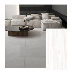 Carreaux de sol en céramique pour salle de bain 600x1200 mm, extérieur/intérieur, poli, émaillé, effet marbre CP1261010 - Product Image 2