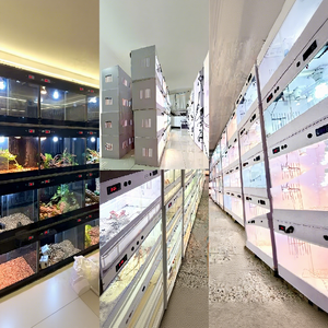 Customizable Rectangle Reptile <strong>Incubator</strong> PVC Breeding Box Turtle Lizard Hedgehog Gecko Snake ZBKJ Brand All Seasons Use Custom - Product Image 4