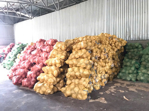 มะพร้าวเปลือกแข็ง (Coco maduro descascado) คุณภาพคงที่จากเวียดนาม สำหรับผู้นำเข้า (WA +84914319488) - Product Image 3