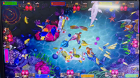Logiciel de jeu d'arcade de tir de poissons de type Bombs Arcade Fish Shooting Game pour la vente