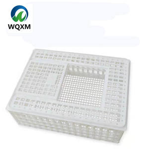 Nuovo prodotto professionale di plastica gabbie per il trasporto di polli dal vivo uccello che porta le casse di uccelli per la vendita di trasporto di alta qualità - Product Image 2