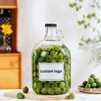 Grand récipient vintage de 1l 2l 3l 4l pour jus de fruits lait eau verre à fermenter bouteille de trempage de vin en verre avec poignée