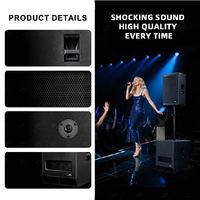 Subwoofer Activo de Madera de Alta Potencia de 1100 W RMS, Controlador de Graves Neo de 15 Pulgadas, Caja de Graves Profesional para Escenario de 2 Pulgadas