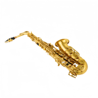 Customized Brass Body Eb Alto Saxophone Gold Lacquer Finish Professional Elbow Wind Instrument for Beginner with Accessories