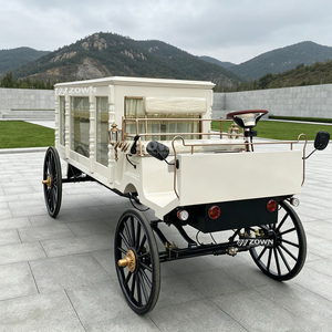 Voiture de transport de cercueil au design rétro et pratique, conçue pour le marché étranger, pour les commandes d'exportation en gros et à grande échelle - Product Image 1