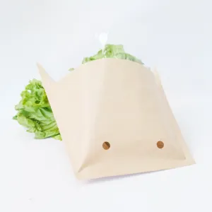 Recyclable Kraft Paper +Bopp Hydroponic Vegetable Living Lettuce Packaging Bag Plant Herbs Sleeves