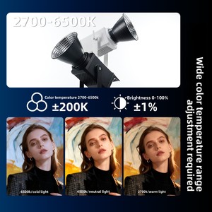Luz de Estudio de 300W para Transmisión en Vivo, Iluminación de Belleza para Streamers, Luz COB con Montura Bowens para Fotografía de Estudio - Product Image 2