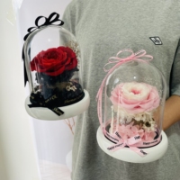 Austin et rose éternels nouveau style 2022 en dôme de verre pour cadeau de saint-valentin