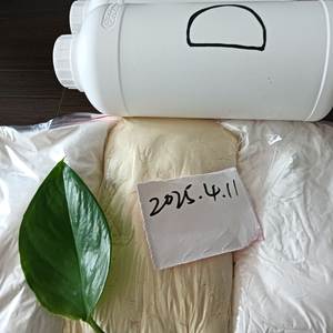 C5H9Br 5-Bromo-1-Pentène (CAS 1119-51-3) Pureté 99,9% Liquide Intermédiaire pour Arômes et Parfums - Product Image 3