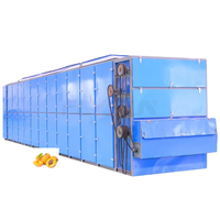 Fabrieksdirecte verkoop abrikozen mesh band droogapparatuur fruitdroger machine groente droogmachine
