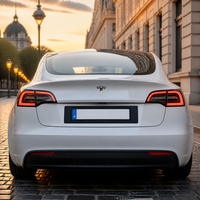 Support de plaque d'immatriculation arrière version UE OE 1147416-00-C pour Tesla Model 3 2017-2023, support de fixation de plaque arrière européenne