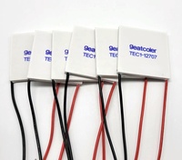 Module thermoélectrique Geatcoler Peltier, puce thermoélectrique, refroidisseur thermoélectrique TEC1-12705