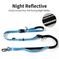 Laisse pour chien en nylon réfléchissante et anti-explosion, très vendue, pour chiens de grande, moyenne et petite taille, avec fil réfléchissant