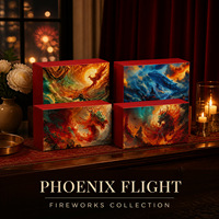 Boîtes d'emballage personnalisées pour feux d'artifice, boîtes à feux d'artifice, série multi-designs, vente en gros, fabricant OEM