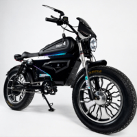 Vélo électrique à gros pneus OWAY SK-1 pour adultes, style cyclomoteur rétro, longue portée, haute vitesse