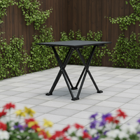 Table de camping pliable en acier carbone au design moderne pour le camping en parc, la cour, facile à déplacer et à installer