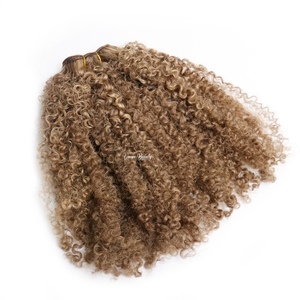 Rambut Asli Warna Pirang Abu-abu dengan Highlight Pirang Madu Gelap, Afro Kinky Curly 27, Warna Cokelat Muda, Ekstensi Rambut Manusia Kinky Curly - Product Image 1