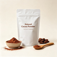 Fournisseur de poudre de cacao brute OEM, poudre de cacao naturelle