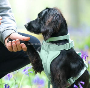 Collare per Cani di Lusso dal Design Tattico, Regolabile, Impermeabile, in Nylon Rivestito in PVC, con Sgancio Rapido e Guinzaglio Incluso, Taglie <span class=keywords><strong>S</strong></span> M <span class=keywords><strong>L</strong></span> - Product Image 5