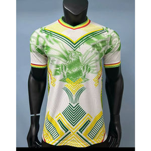 قمصان كرة قدم للمنتخبات الأفريقية الوطنية 2026 جديدة بالجملة من المصنع، قميص منتخب مالي الرسمي عالي الجودة التايلاندي - Product Image 6