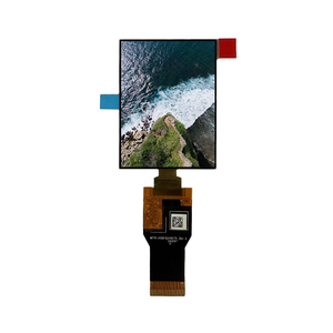 2.4 인치 AMOLED 스퀘어 디스플레이 모듈, 변속기 드라이버 IC RM690C0 IPS 기술 450x600 해상도 - Product Image 1