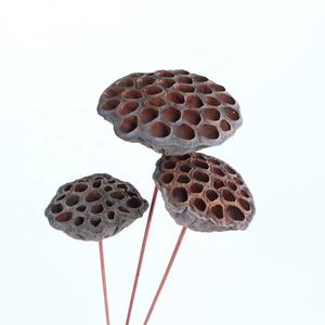 ยูนนานดอกไม้แห้งธรรมชาติบริสุทธิ์,ฝักบัวอบแห้งช่อดอกไม้ชนบทสำหรับตกแต่งแบบชนบทเหมาะกับชาวพุทธ - Product Image 2