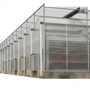 Manufacturers Suppliers hot Sale Venlo StyleVenlo Greenhouse Polycarbonate Farming PC Sheet Greenhouses For Research