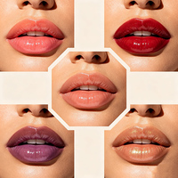 Gloss à lèvres en gros sous marque privée OEM ODM, logo personnalisé, rouge à lèvres liquide mat nude longue tenue et waterproof, certification ISO