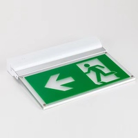 Panneau LED d'urgence à batterie LFP rechargeable, avec sortie en PVC personnalisée, boîtier PC, panneau acrylique, surface CE, AC220V