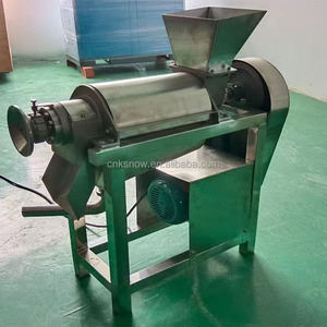 フルーツジンジャー商用ジューサーパイナップルニンジンジンジャーターメリックジューサー - Product Image 3