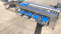 Groenten Grapefruit Oranje Fruit Grader Machine Appel Oranje Kiwi 'S Citroen Automatische Vruchtgewicht Sorteer