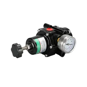 Air filter YT200B manual pressure reducer locator dedicated automatic filter pressure relief valve